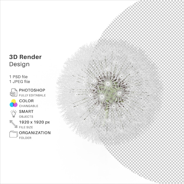 Kwiat owieczki 3D modelowanie pliku PSD realistyczny kwiat