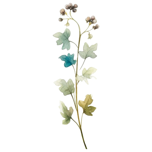 Kwiat Pomalowany Akwarelą Ręcznie Narysowane Elementy Projektowe Kwiatów Izolowane Na Białym Tle