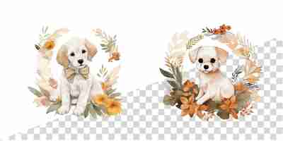 PSD kwiatowe kliparty dla słodkich psów i szczeniąt