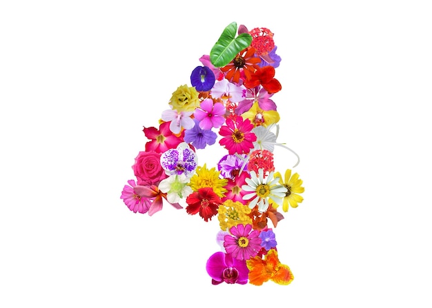 l shape made of various kinds of orchid flowers