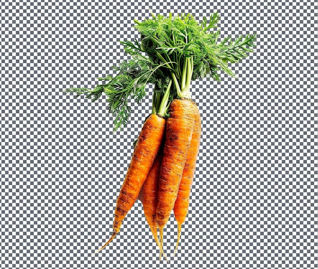 Laatste Carrot Patch Themed Phone Case geïsoleerd op doorzichtige achtergrond