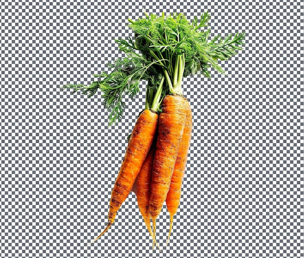 Laatste carrot patch themed phone case geïsoleerd op doorzichtige achtergrond