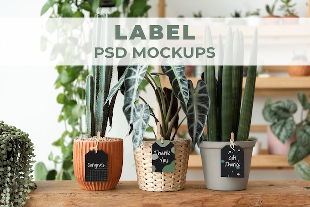 Label mockups psd op planten in een bloemenwinkel