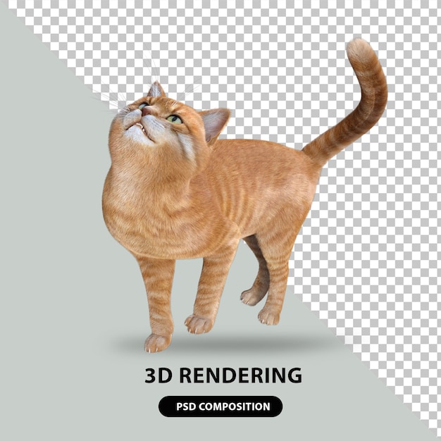 Ładny Kot Renderowania 3d