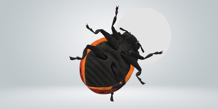 PSD ladybird isolated on a transparent background