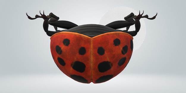 PSD ladybird isolated on a transparent background