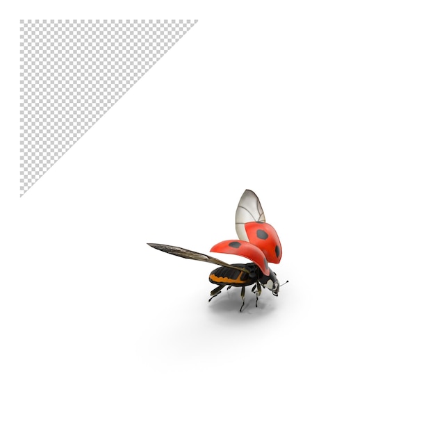 PSD ladybug flying pose png