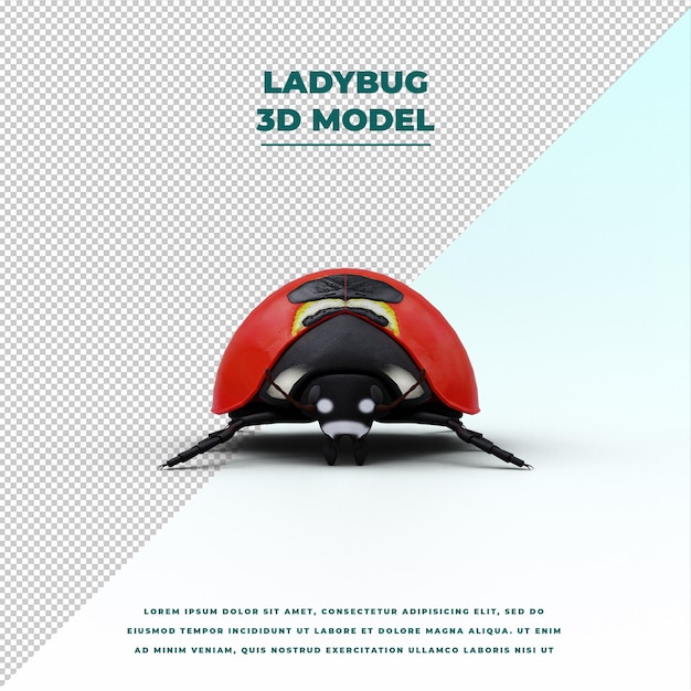 Ladybug