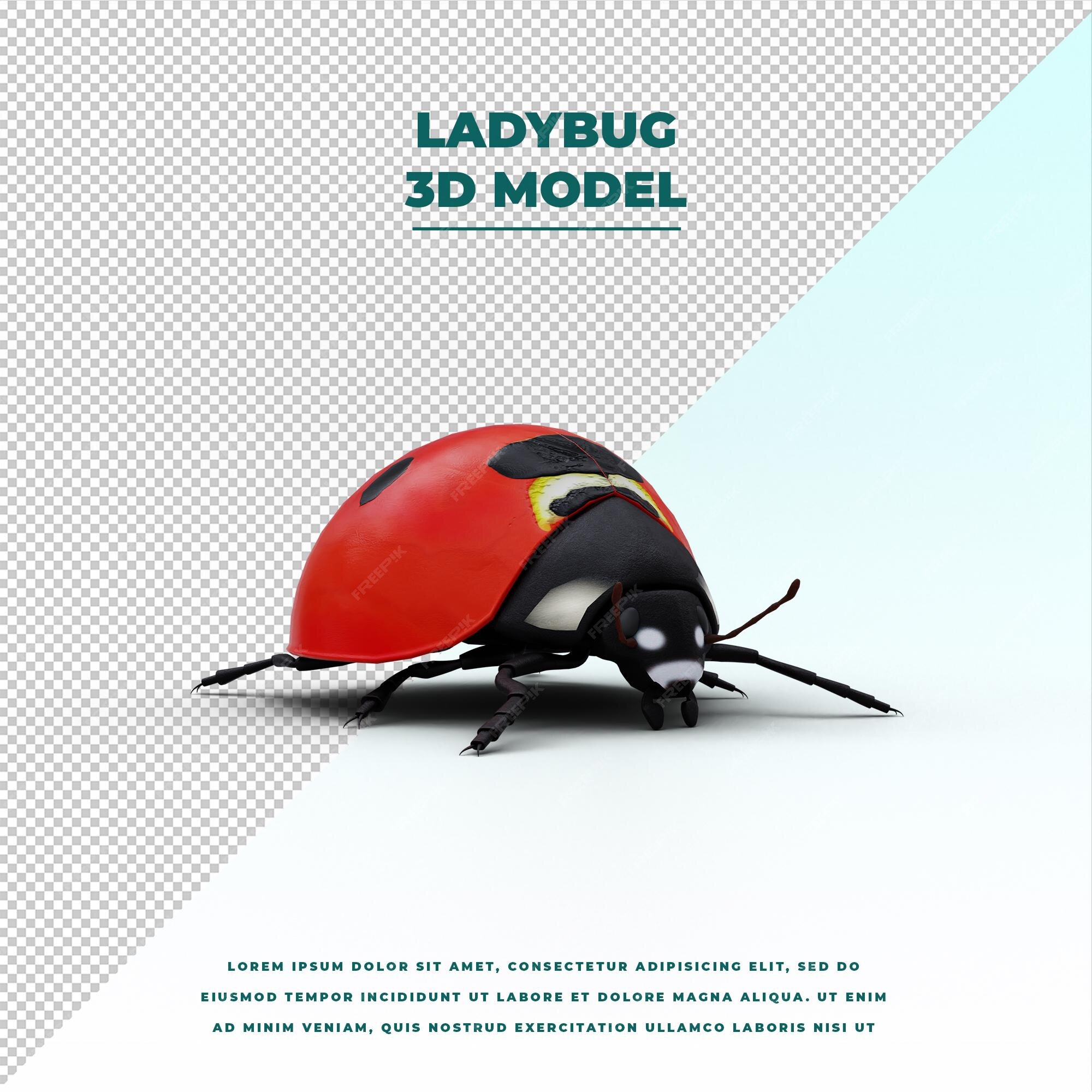 Premium PSD  Lady bug png