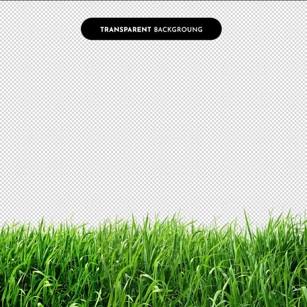 PSD land resources 3d grass png image grass road street grass road path road way
