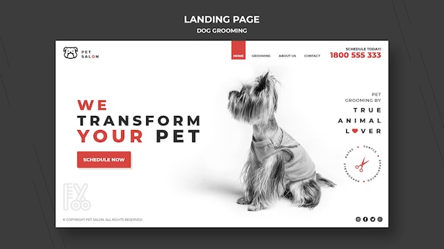 PSD landing page for pet grooming company