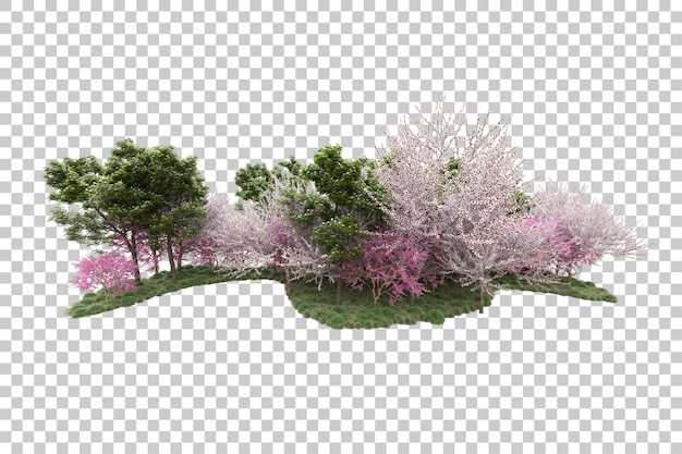 Landscape arrangement isolated on transparent background 3d rendering illustration