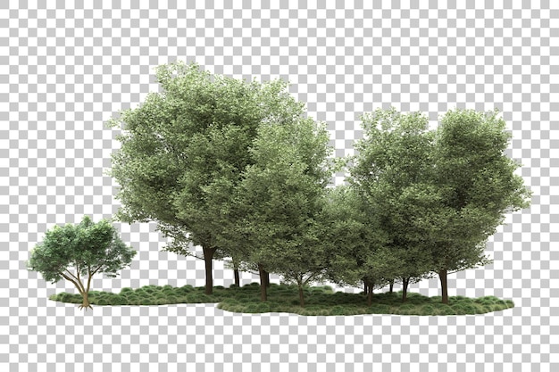 landscape arrangement isolated on transparent background 3d rendering illustration