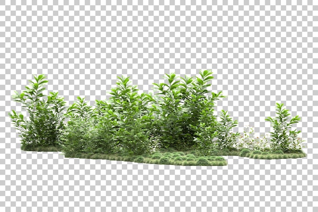 Landscape arrangement isolated on transparent background 3d rendering illustration