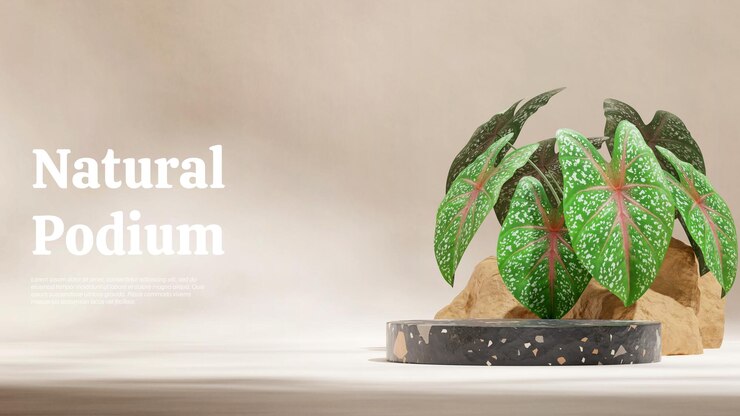 PSD in landscape green pink caladium plant 3d image render empty mockup black terrazzo cylinder podium