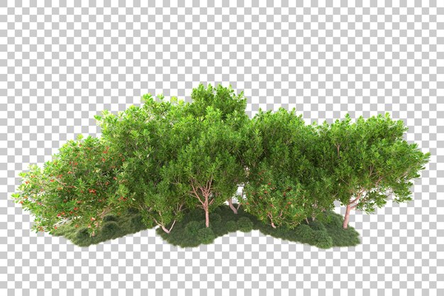 Landscape isolated on transparent background 3d rendering illustration