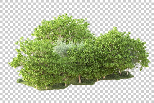 Landscape isolated on transparent background 3d rendering illustration