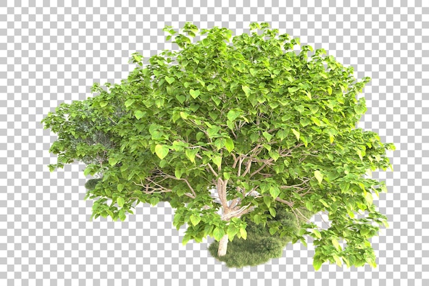 Landscape isolated on transparent background 3d rendering illustration