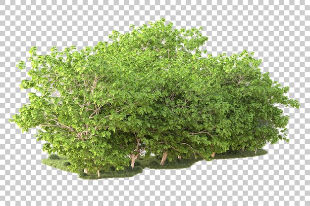 Landscape isolated on transparent background 3d rendering illustration