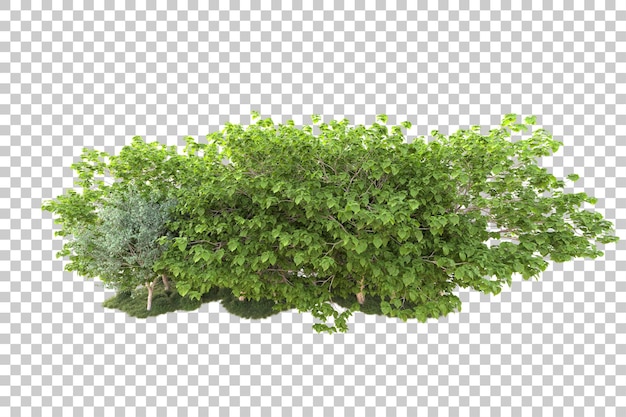 Landscape isolated on transparent background 3d rendering illustration