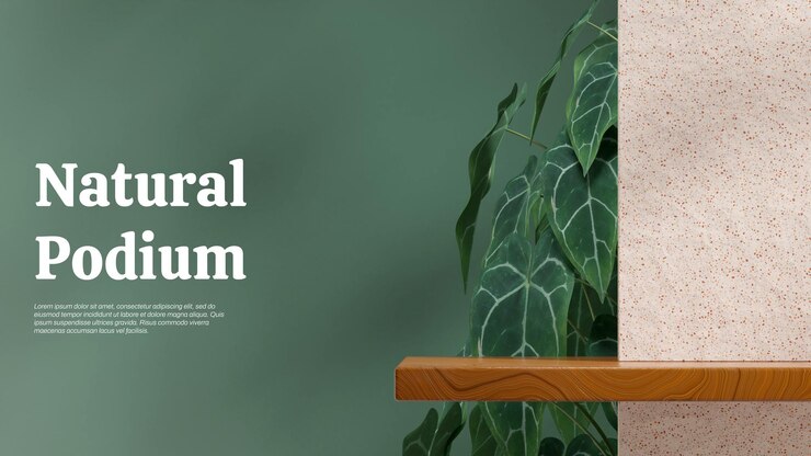 in landscape terrazzo color wall and green plant 3d render image scene template brown wood podium