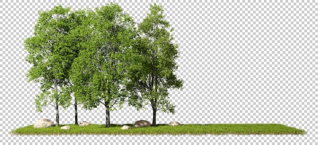 Paesaggistica alberi della giungla con sfondi ritaglio copyspace 3d rendering