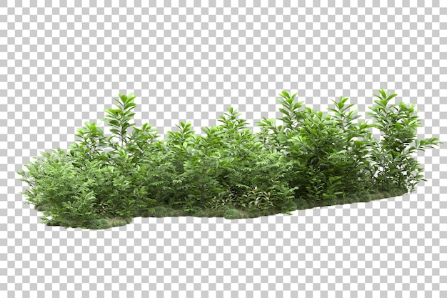 Landschap regeling geïsoleerd op transparante achtergrond 3D-rendering illustratie