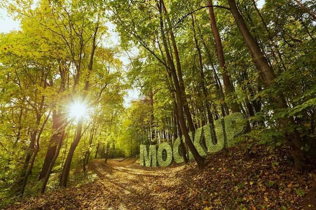 PSD landschapsmodel met uitzicht op de natuur