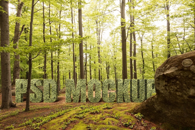 Landschapsmodel met uitzicht op de natuur