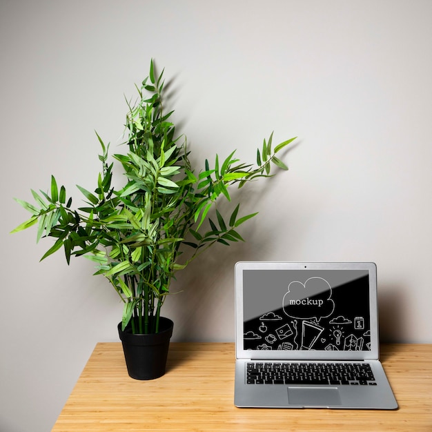 Laptop device mock-up next to plant