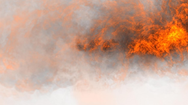 a large cloud of smoke is behind a large bush