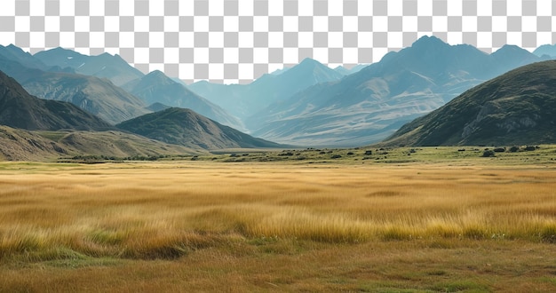 Large landscape with a distant mountain range on the horizon on a transparent background