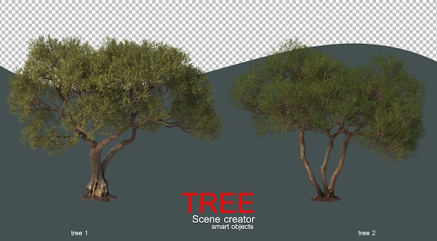 PSD large trees of many shapes