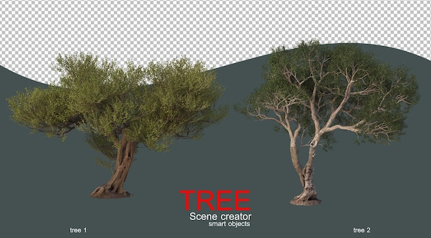 PSD large trees of many shapes