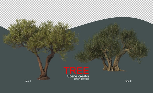 多様な形の大きな木