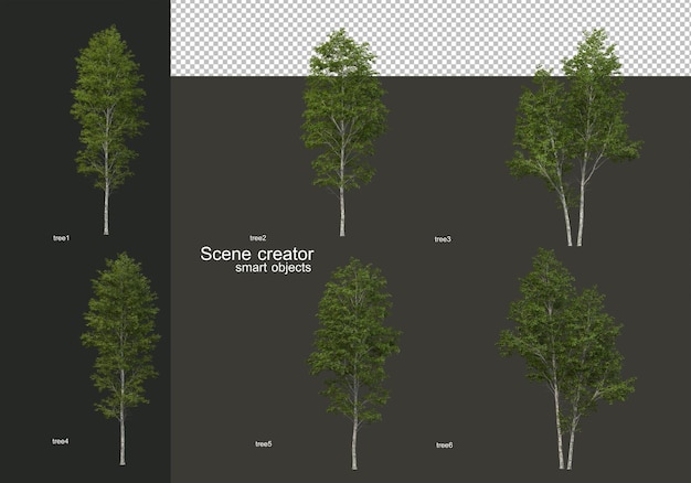 PSD large trees of various kinds