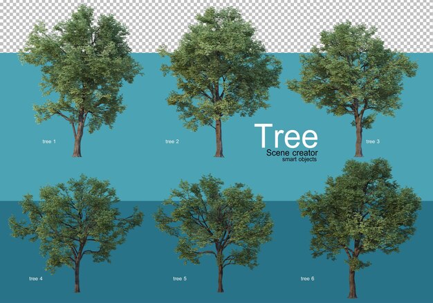 Large trees of various shapes