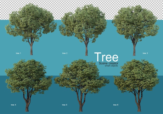 PSD large trees of various shapes