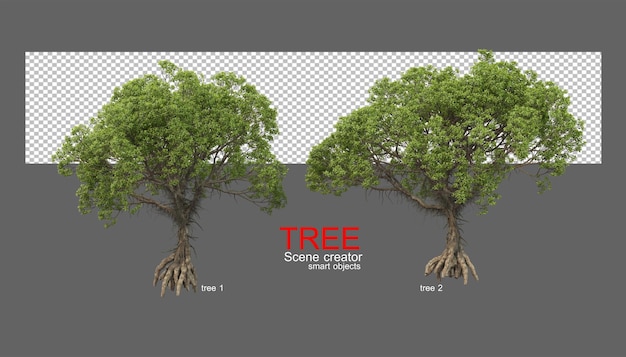 PSD large varieties of trees