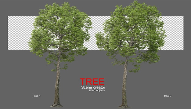 Large varieties of trees