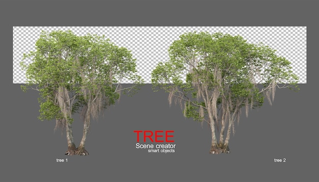 PSD grandi varietà di alberi