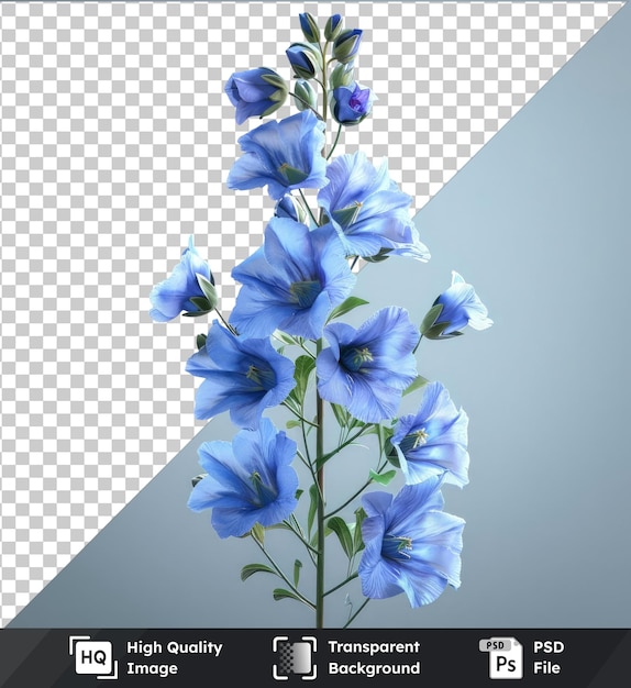 PSD Цветок ларкспур пнг клипарт сине-белых цветов с зелеными стеблями на фоне чистого неба