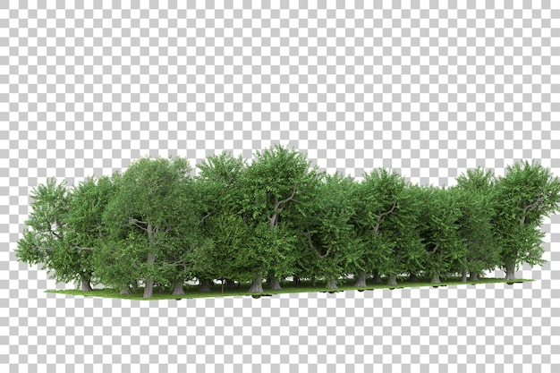 Las na przezroczystym tle ilustracja renderowania 3d