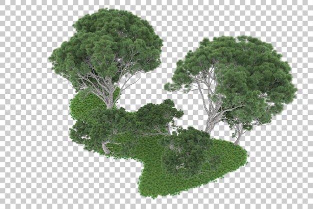Las Na Przezroczystym Tle. Renderowanie 3d - Ilustracja