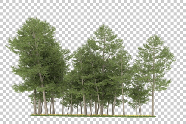 Las na przezroczystym tle. Renderowanie 3d - ilustracja