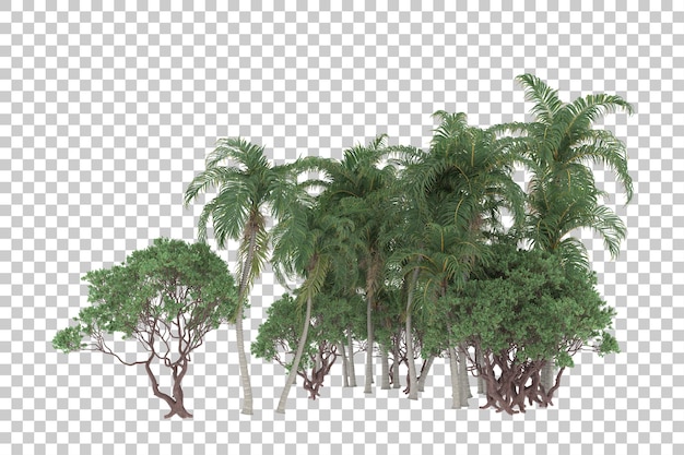 Las Tropikalny Na Przezroczystym Tle. Renderowanie 3d - Ilustracja