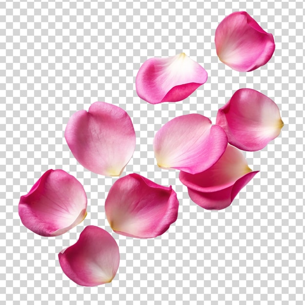 PSD latające różowe płatki różowe izolowane na przezroczystym tle
