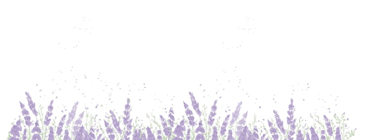 PSD <unk>衣草花