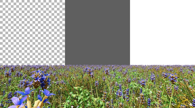 Lavendel bloem png transparante 3D weergave