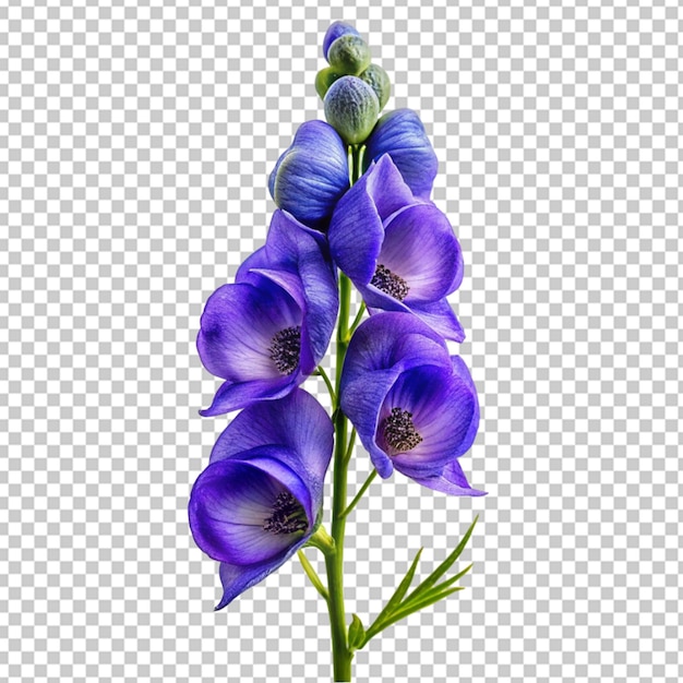 PSD lavender bouquet png